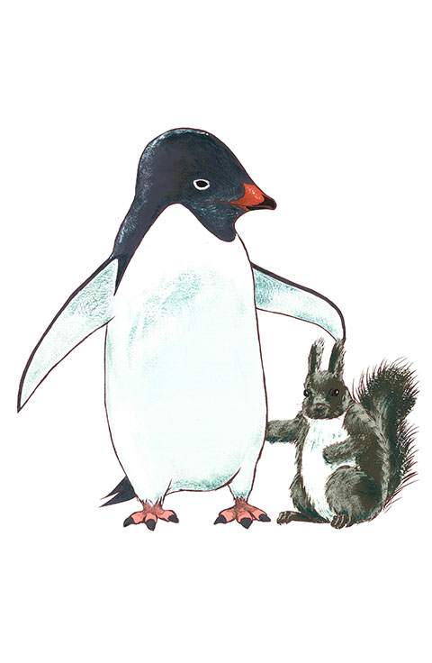 イラスト作品 ペンギンとエゾリス